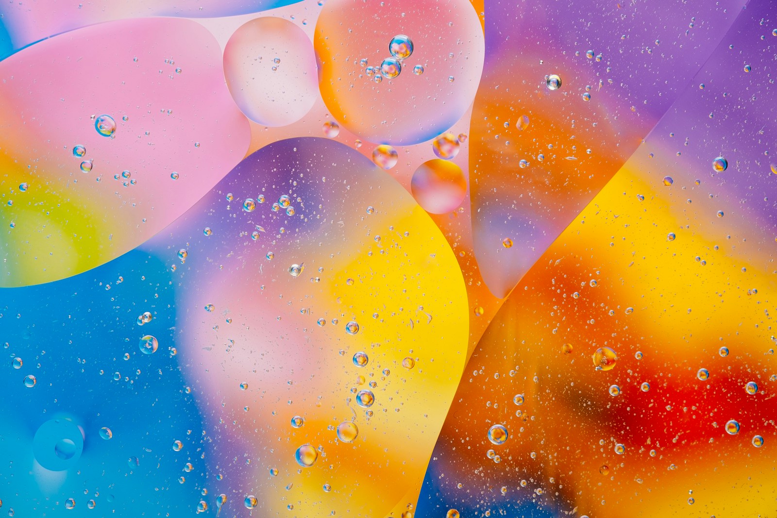 brand e colori